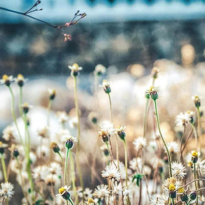 突破网络藩篱：手机科学上网的终极指南与实用技巧