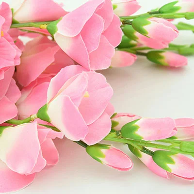 Karing 免费节点 | 1月26日20.5M/S|免费V2ray节点/Clash节点/SSR节点/Singbox节点/Shadowrocket节点/Trojan节点节点推荐，在线Clash机场梯子购买推荐