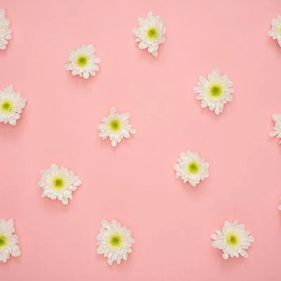 Karing 免费节点 | 1月11日18.8M/S|免费Singbox节点/Clash节点/Shadowrocket节点/V2ray节点/SSR节点节点推荐，在线Clash机场梯子购买推荐